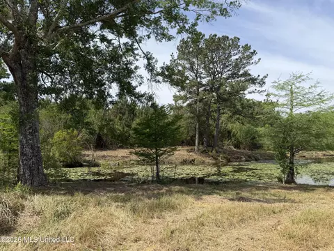 0 N Neely Avera Rd, Neely, MS 39461 photo 2