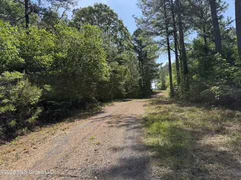 0 N Neely Avera Rd, Neely, MS 39461 photo 7
