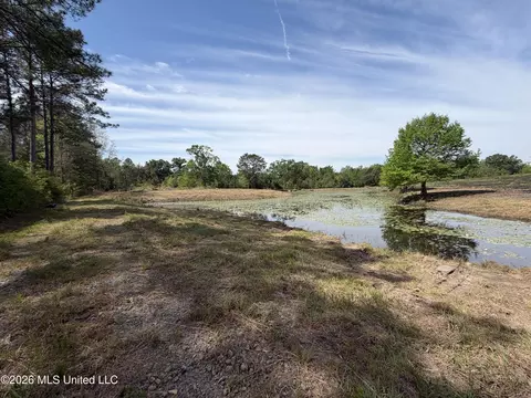 0 N Neely Avera Rd, Neely, MS 39461 photo 16