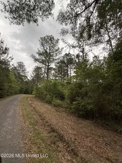 0 N Neely Avera Rd, Neely, MS 39461 photo 6