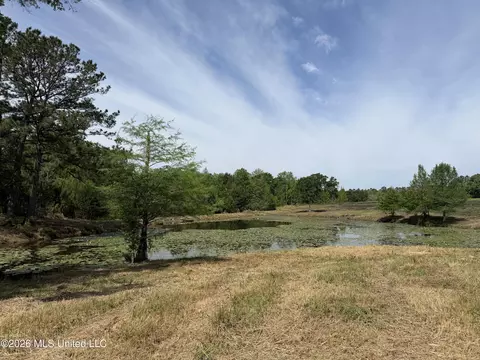 0 N Neely Avera Rd, Neely, MS 39461