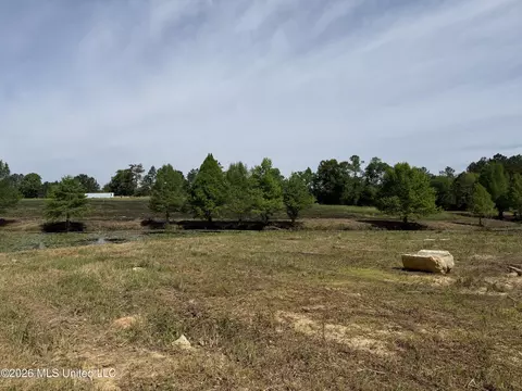0 N Neely Avera Rd, Neely, MS 39461 photo 20