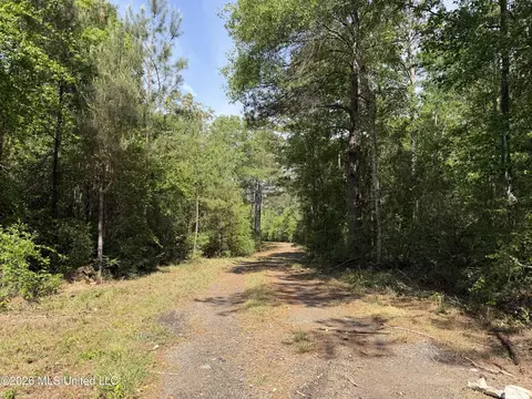 0 N Neely Avera Rd, Neely, MS 39461 photo 3