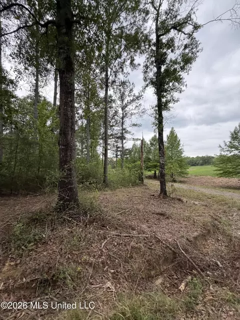 0 N Neely Avera Rd, Neely, MS 39461 photo 12