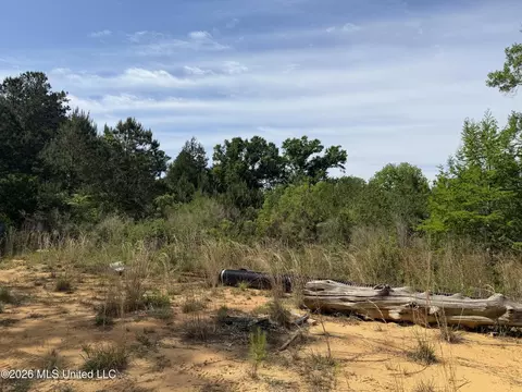 0 N Neely Avera Rd, Neely, MS 39461 photo 17