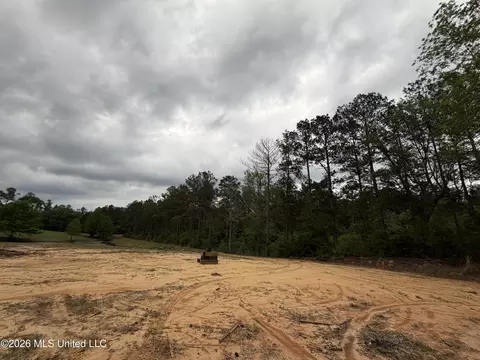0 N Neely Avera Rd, Neely, MS 39461 photo 14