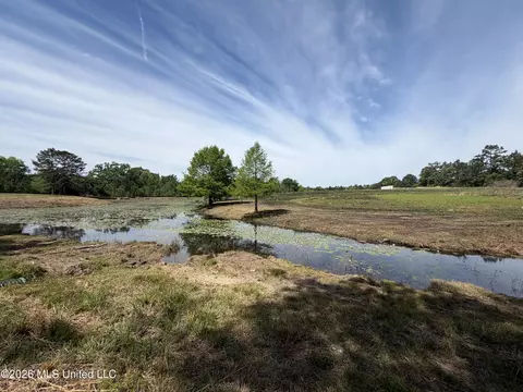 0 N Neely Avera Rd, Neely, MS 39461