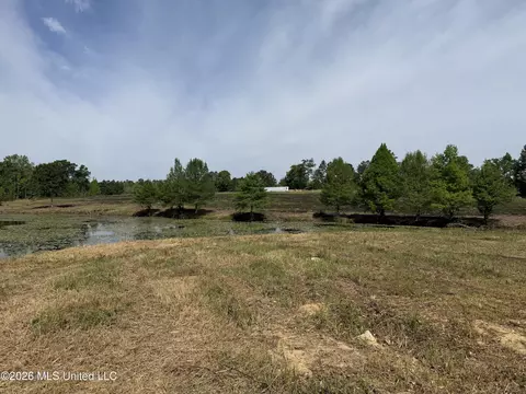 0 N Neely Avera Rd, Neely, MS 39461 photo 18