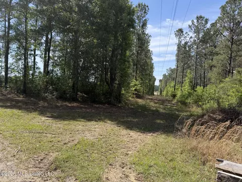 0 N Neely Avera Rd, Neely, MS 39461 photo 5