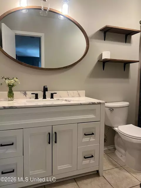 Bath - 309 Stonecastle Dr, Brandon, MS 39047 photo 2 of 3