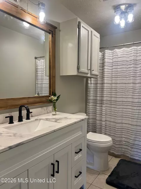 Bath - 309 Stonecastle Dr, Brandon, MS 39047 photo 1 of 3