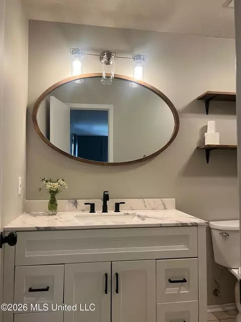 Bath - 309 Stonecastle Dr, Brandon, MS 39047 photo 3 of 3