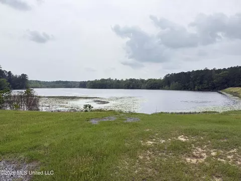 000 Furrs Mill Dr Ne Dr, Wesson, MS 39191