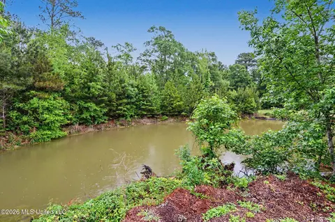 View/Area - 4219 Merrill Rd, Lucedale, MS 39452 photo 2 of 2