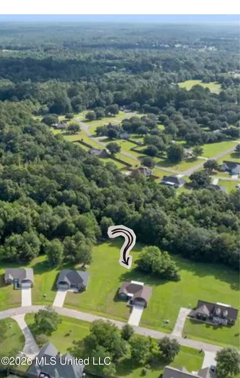 View/Area - 51 Mojave Ln, Picayune, MS 39466 photo 1 of 1