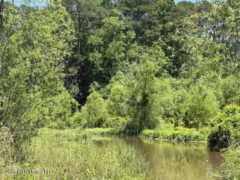 State Hwy 902, Pulaski, MS 39152 photo 6