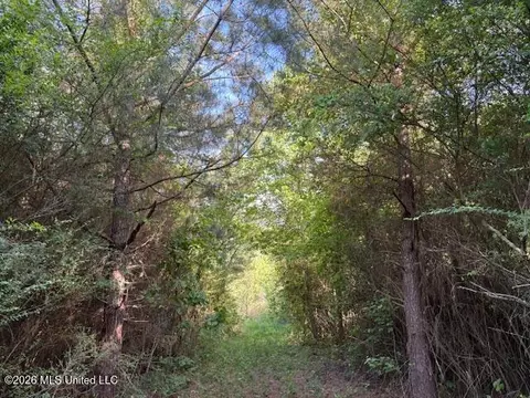 State Hwy 902, Pulaski, MS 39152 photo 7