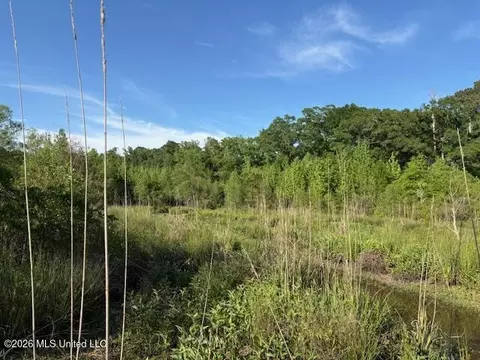 State Hwy 902, Pulaski, MS 39152 photo 8