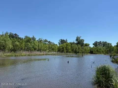 State Hwy 902, Pulaski, MS 39152 photo 5