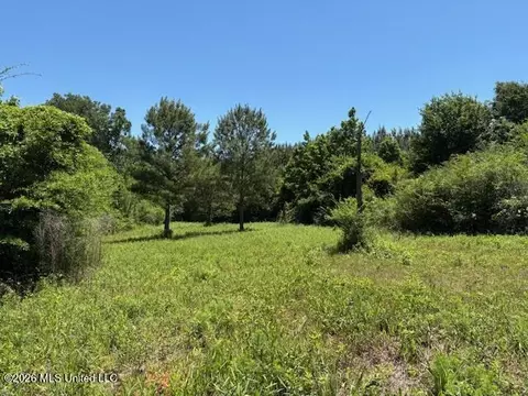 State Hwy 902, Pulaski, MS 39152 photo 2