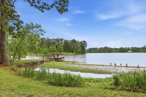 View/Area - 137 Lakeview Dr, Madison, MS 39110 photo 1 of 1