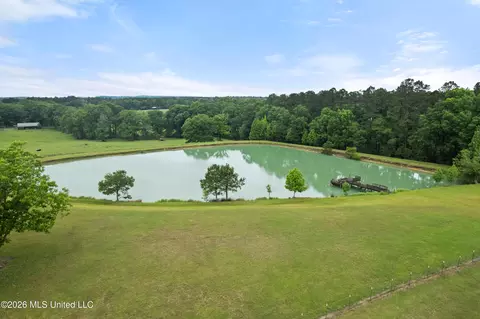 View/Area - 1329 Grantham Rd, Sumrall, MS 39482 photo 1 of 8
