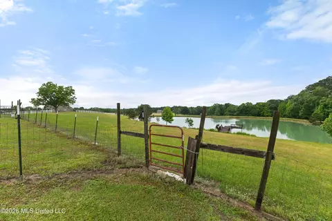 View/Area - 1329 Grantham Rd, Sumrall, MS 39482 photo 3 of 8