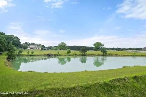View/Area - 1329 Grantham Rd, Sumrall, MS 39482 photo 5 of 8