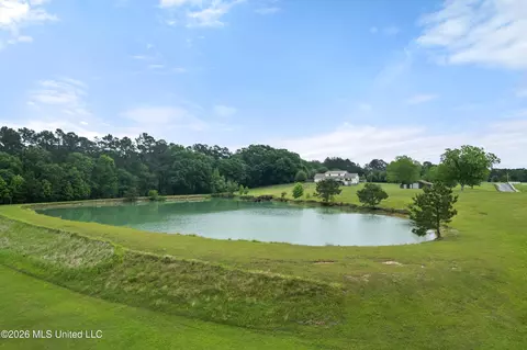 View/Area - 1329 Grantham Rd, Sumrall, MS 39482 photo 4 of 8