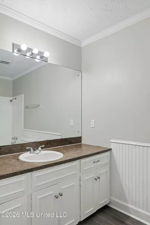 Bath - 110 Dickson Dr, Brandon, MS 39042 photo 3 of 3