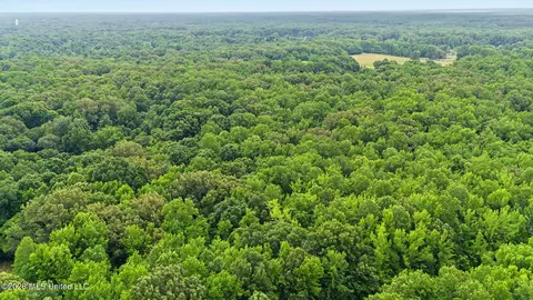 Tanyard Road, Hernando, MS 38632 photo 7