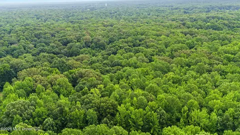 Tanyard Road, Hernando, MS 38632 photo 6