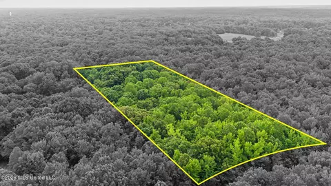 Tanyard Road, Hernando, MS 38632 photo 3