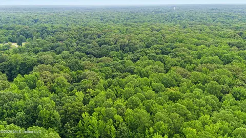 Tanyard Road, Hernando, MS 38632 photo 8