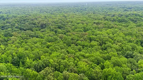 Tanyard Road, Hernando, MS 38632 photo 9