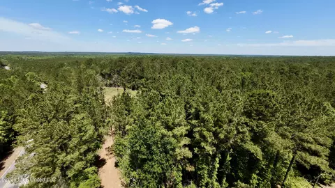 472 Saint Johns Rd, Braxton, MS 39044