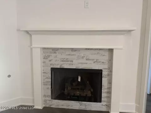 Other - 8823 Jackson Ln, Olive Branch, MS 38654 photo 3 of 5