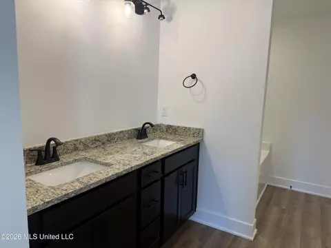 Bath - 8823 Jackson Ln, Olive Branch, MS 38654 photo 3 of 4