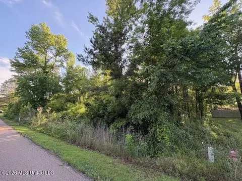 106 Holly Bush Pl, Brandon, MS 39047