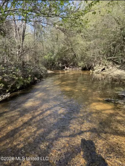 SE Union Road, Brookhaven, MS 39601 photo 3