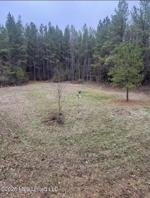SE Union Road, Brookhaven, MS 39601 photo 2