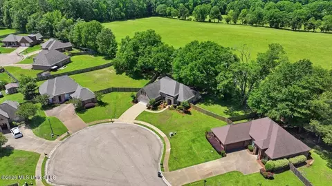 View/Area - 306 Cedar Stone Ct, Florence, MS 39073 photo 6 of 21