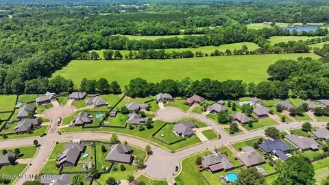 View/Area - 306 Cedar Stone Ct, Florence, MS 39073 photo 11 of 21