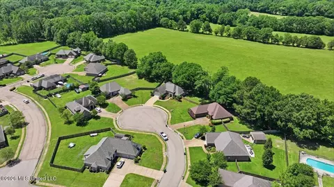 View/Area - 306 Cedar Stone Ct, Florence, MS 39073 photo 7 of 21