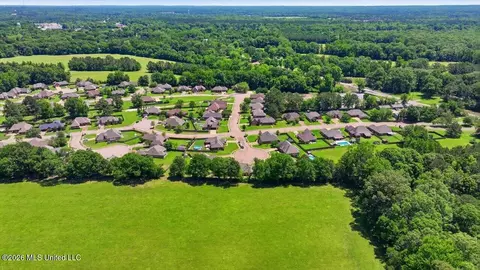 View/Area - 306 Cedar Stone Ct, Florence, MS 39073 photo 14 of 21