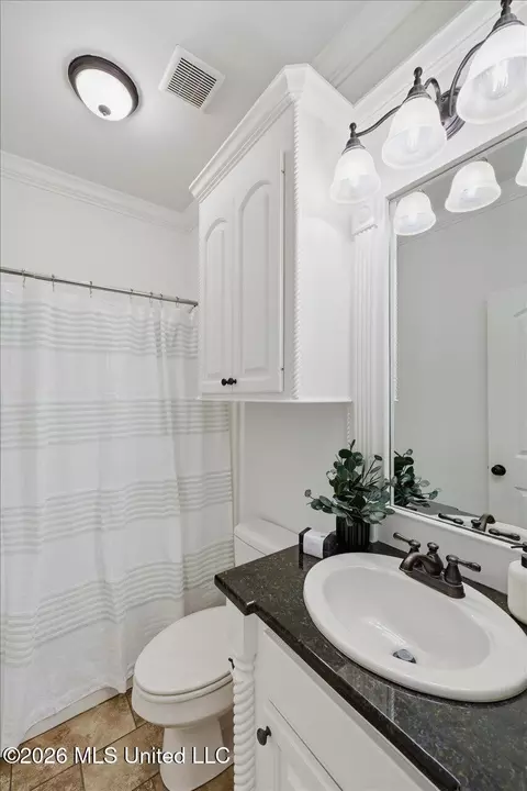 Bath - 306 Cedar Stone Ct, Florence, MS 39073 photo 4 of 5