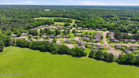 View/Area - 306 Cedar Stone Ct, Florence, MS 39073 photo 17 of 21