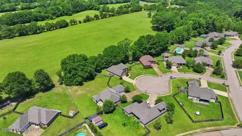 View/Area - 306 Cedar Stone Ct, Florence, MS 39073 photo 9 of 21