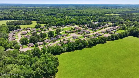 View/Area - 306 Cedar Stone Ct, Florence, MS 39073 photo 13 of 21