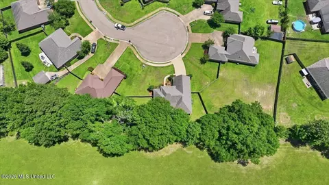 View/Area - 306 Cedar Stone Ct, Florence, MS 39073 photo 18 of 21